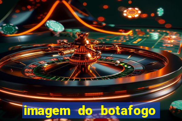 imagem do botafogo zuando o palmeiras